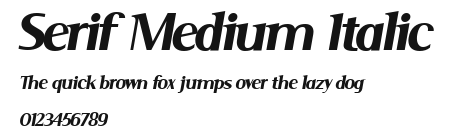 Serif Medium Italic Preview