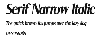 Serif Narrow Italic Preview
