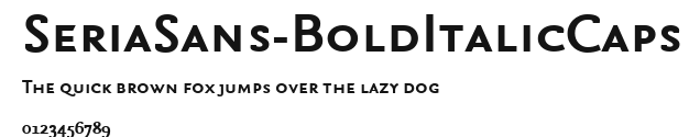 SeriaSans-BoldItalicCaps Preview