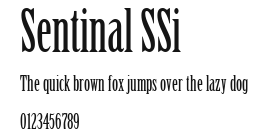 Sentinal SSi Preview