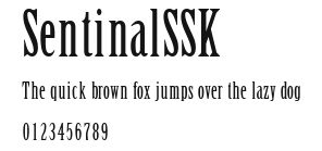 SentinalSSK Preview