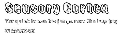 Sensory Cortex Preview