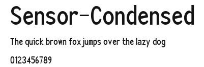 Sensor-Condensed Preview