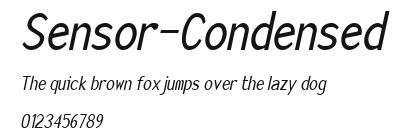 Sensor-Condensed Preview