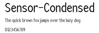 Sensor-Condensed Preview
