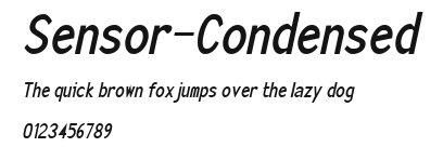 Sensor-Condensed Preview