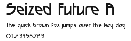 Seized Future A Preview