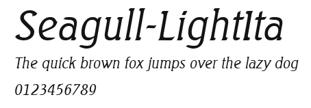 Seagull-LightIta Preview