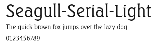 Seagull-Serial-Light Preview