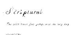 Scriptural Preview