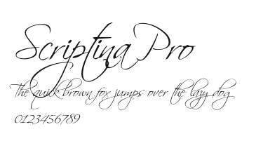 Scriptina Pro Preview