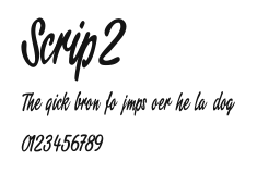 Script2 Preview
