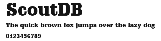 ScoutDB Preview