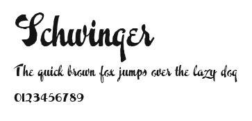 Schwinger Preview