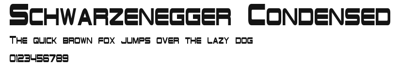 Schwarzenegger Condensed Preview