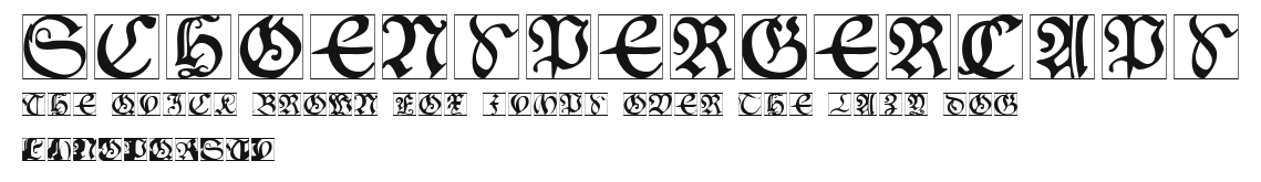 SchoenspergerCaps Preview