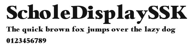 ScholeDisplaySSK Preview