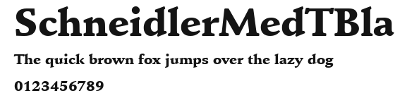 SchneidlerMedTBla Preview