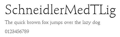 SchneidlerMedTLig Preview