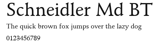 Schneidler Md BT Preview