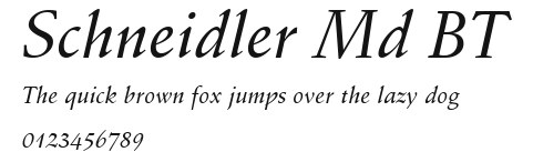Schneidler Md BT Preview