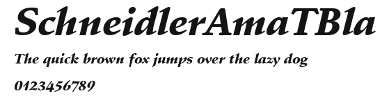 SchneidlerAmaTBla Preview