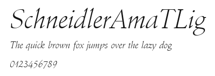 SchneidlerAmaTLig Preview