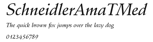 SchneidlerAmaTMed Preview