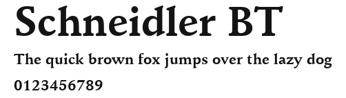 Schneidler BT Preview