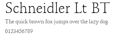 Schneidler Lt BT Preview