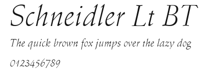 Schneidler Lt BT Preview