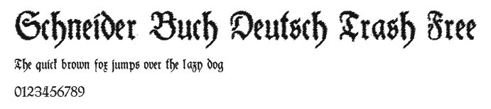 Schneider Buch Deutsch Trash Free Preview