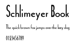 Schlimeyer Book Preview