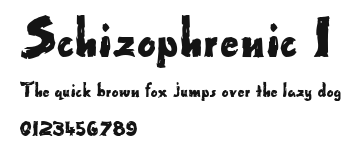 Schizophrenic 1 Preview