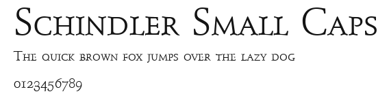Schindler Small Caps Preview