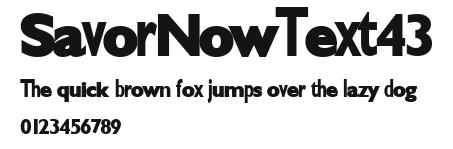 SavorNowText43 Preview