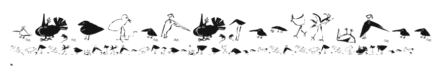 SaulsRandomBirds Preview