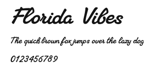 Florida Vibes Preview