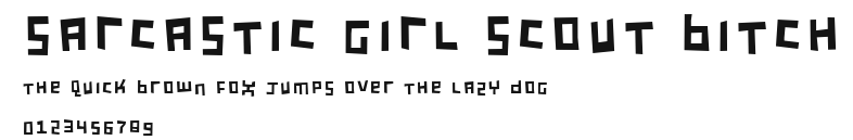 Sarcastic Girl Scout Bitch Preview