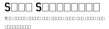 Sans Statement Preview