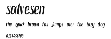 Salvesen Preview