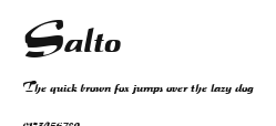 Salto Preview