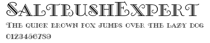 SaltbushExpert Preview