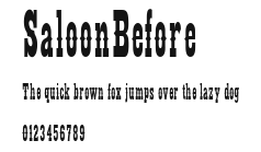 SaloonBefore Preview