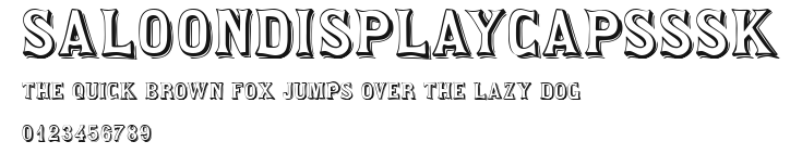 SaloonDisplayCapsSSK Preview