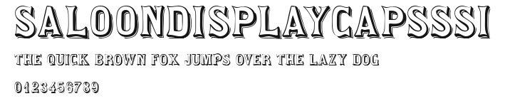SaloonDisplayCapsSSi Preview