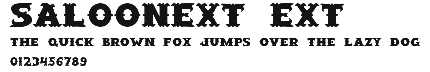 SaloonExt Ext Preview