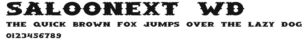 SaloonExt Wd Preview