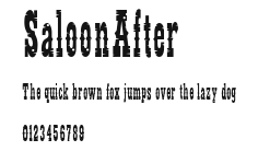 SaloonAfter Preview