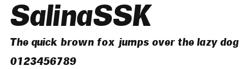 SalinaSSK Preview